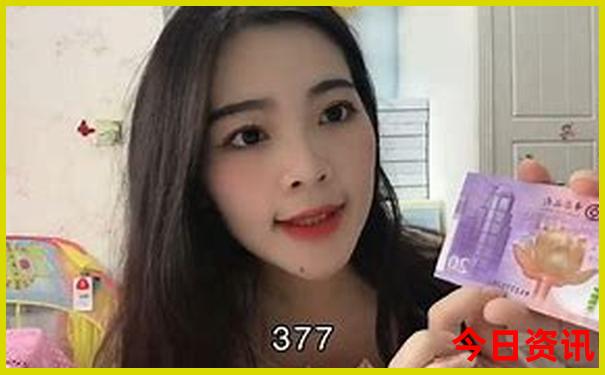 713838网站开奖号码历史记录查询